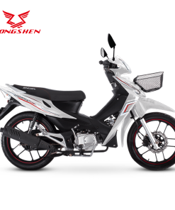 ZS110
