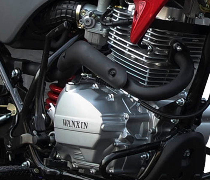 Lucero tu tienda online!