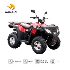 WX250-ST