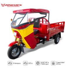 ZS 200-CM C