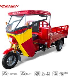 ZS 200-CM C