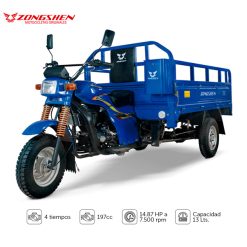ZS 200-CM