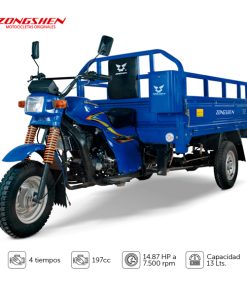 ZS 200-CM
