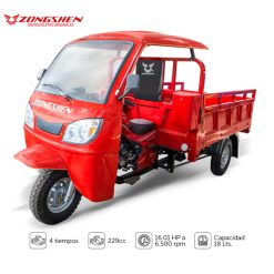 ZS 250-CM C