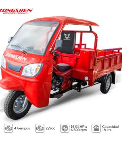 ZS 250-CM C