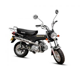 Lucero tu tienda online!