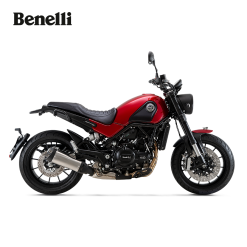 LEONCINO 500