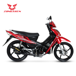 ZS110 S