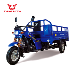ZS200-CM