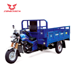 ZS250-CM