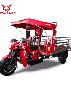 ZS300-CM DAKAR