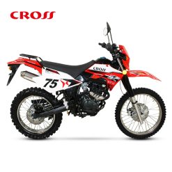 TRT250GY TRITON