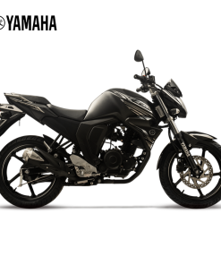 FZS FI