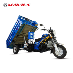 CARGO 250RD