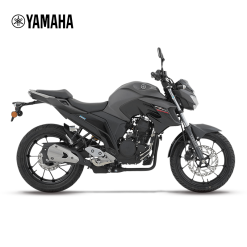 FZ25