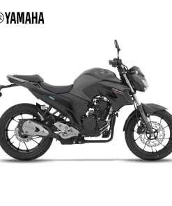 FZ25