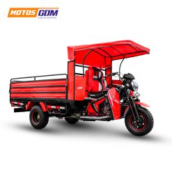 SUPER 350-WS     2025