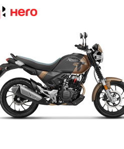 X-PULSE 200T 2024