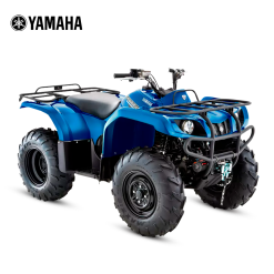 GRIZZLY 350 2WD