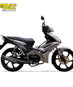 SPLIT RR 110