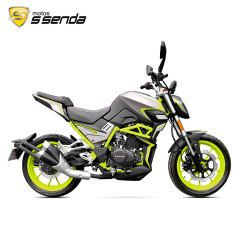 VIPER 250 DKR 2024