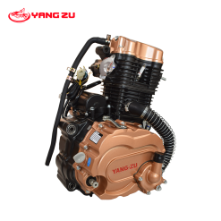 MOTOR ZS CG250 W