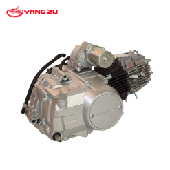 MOTOR C110