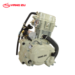 MOTOR ZS CG250W