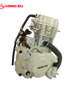 MOTOR ZS CG250W
