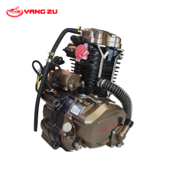 MOTOR ZS CG250W