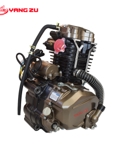 MOTOR ZS CG250W
