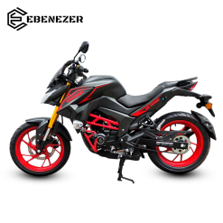 NK 250