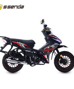 LEO 125 RALLY