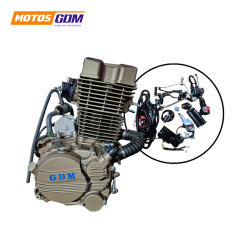 MOTOR 300CC KIT COMPL