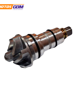 BOMBA DE AGUA 250CC