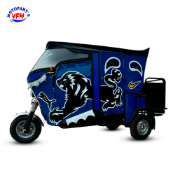MOTOTAXI 250