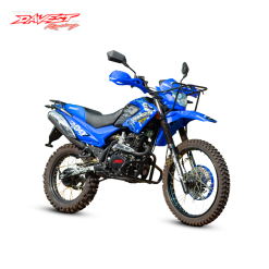 DV200GY-5 2021