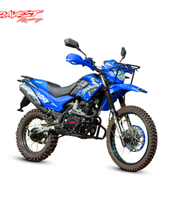 DV200GY-5 2021