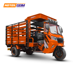 FJ800 - G1 300