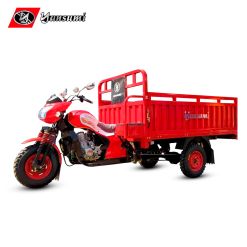 YS250A1X-P