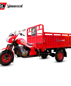 YS250A1X-P