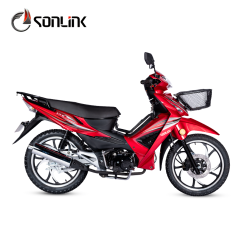 SL110-W9