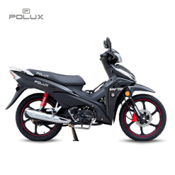 WAY 125P