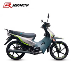 RC 110X