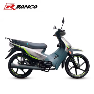 RC 110X