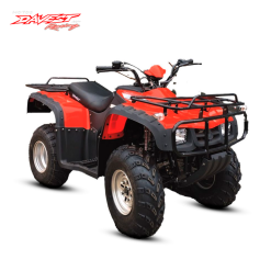 DV250S-29 CARDAN