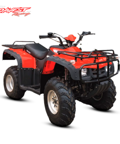DV250S-29 CARDAN