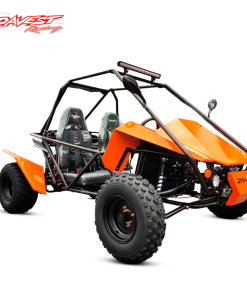 GOKART 200
