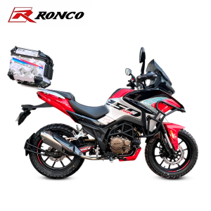 DOMINATOR 250ADV