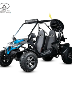 BUGGY K5 200